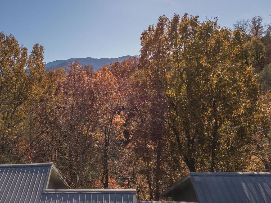 Sasquatch Lodge E Sleeps 13 Gatlinburg Esterno foto